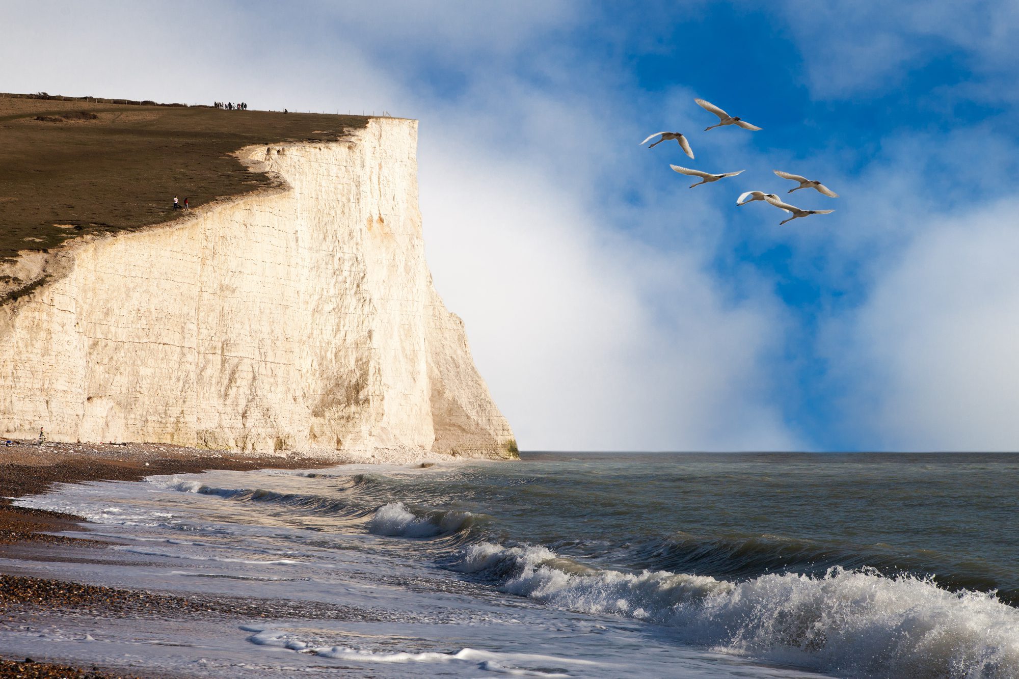 Sussex chalk cliffs